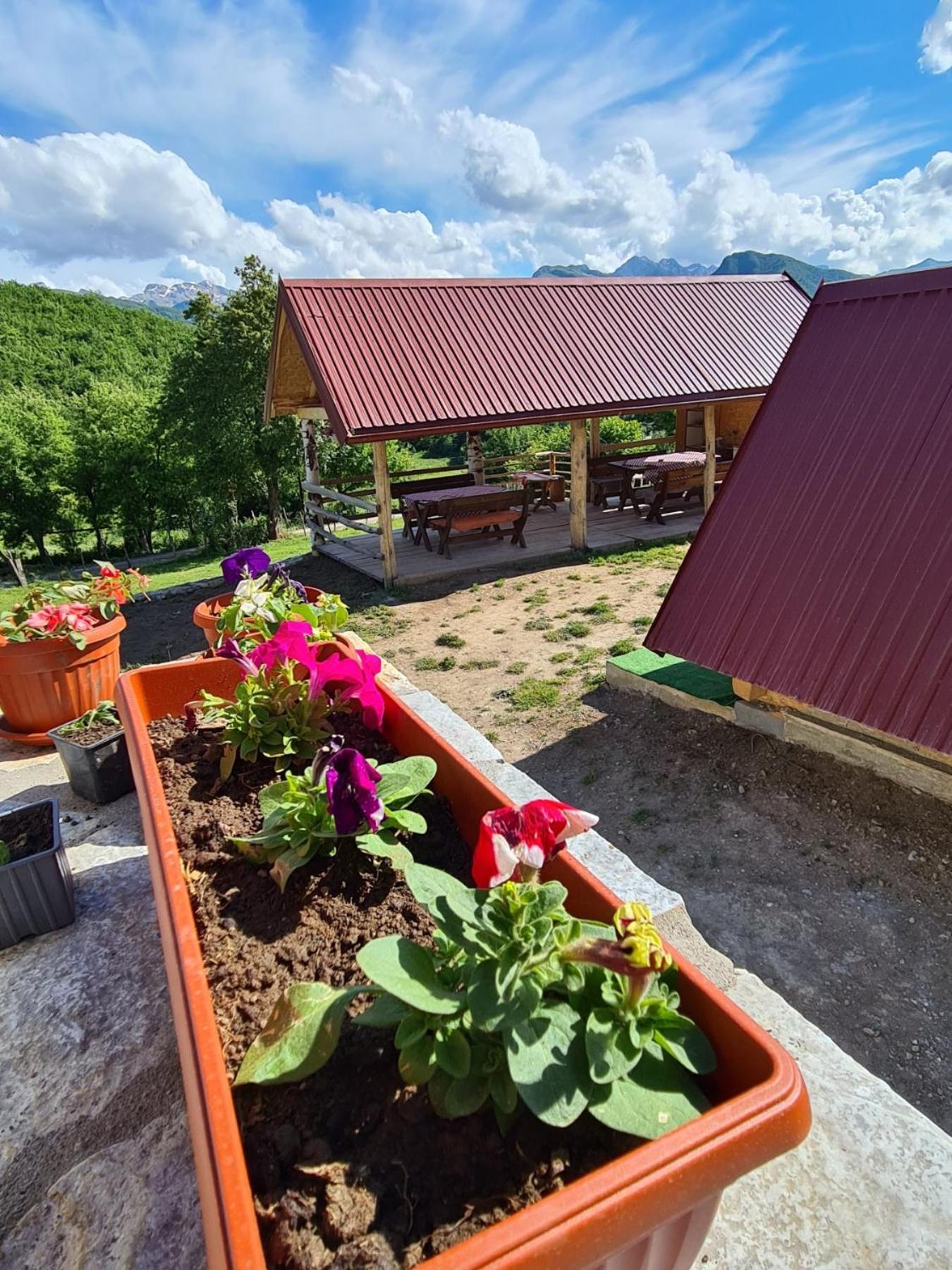 Bungalows Malagic Gusinje Exterior photo